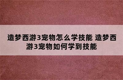 造梦西游3宠物怎么学技能 造梦西游3宠物如何学到技能